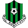 罗基察尼